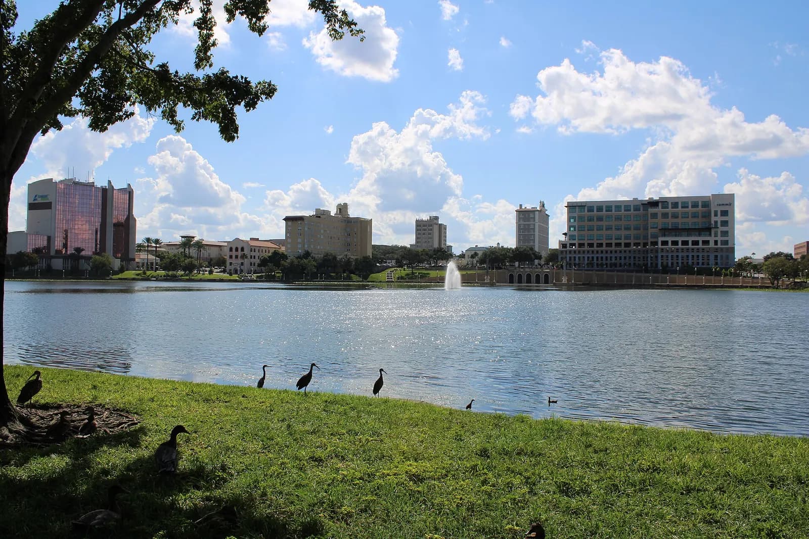 Lake Mirror and downtown Lakeland beneath a blue sky